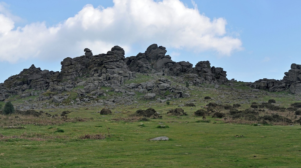 Hound Tor on eastern Dartmoor, near Manaton.