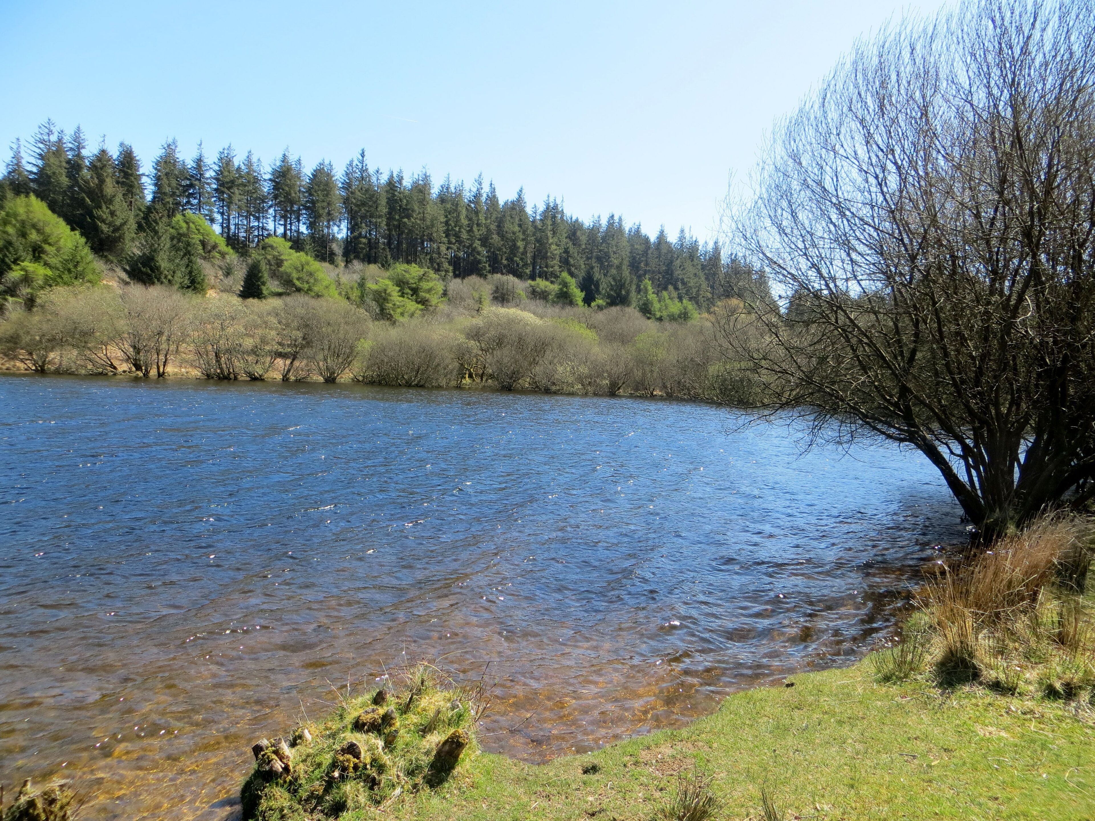 Sparkling water - April 2015