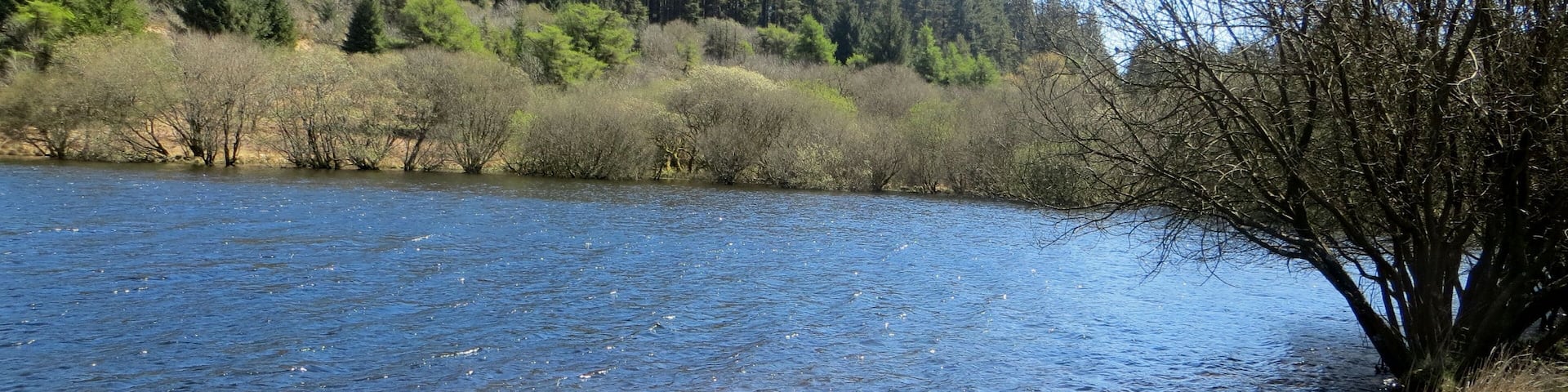 Sparkling water - April 2015