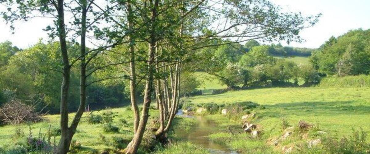 A small stream in a grassy field with trees and a distant hill.