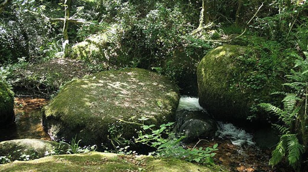 Lustleigh: stream with granite boulders A tributary of the Wray brook and the river Bovey