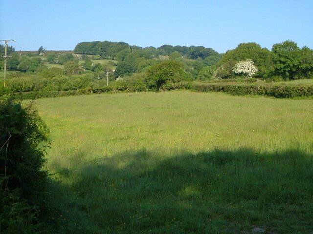 Meadow, Teigncombe One of many small lush meadows on the slopes above the South Teign river. In the background, the land rises to the edge of the open moor.