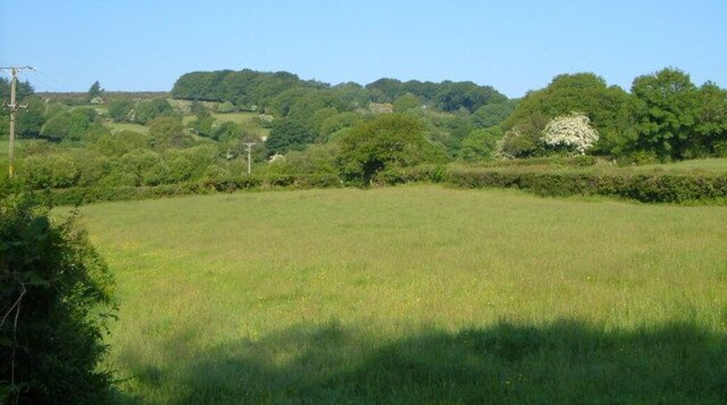 Meadow, Teigncombe One of many small lush meadows on the slopes above the South Teign river. In the background, the land rises to the edge of the open moor.