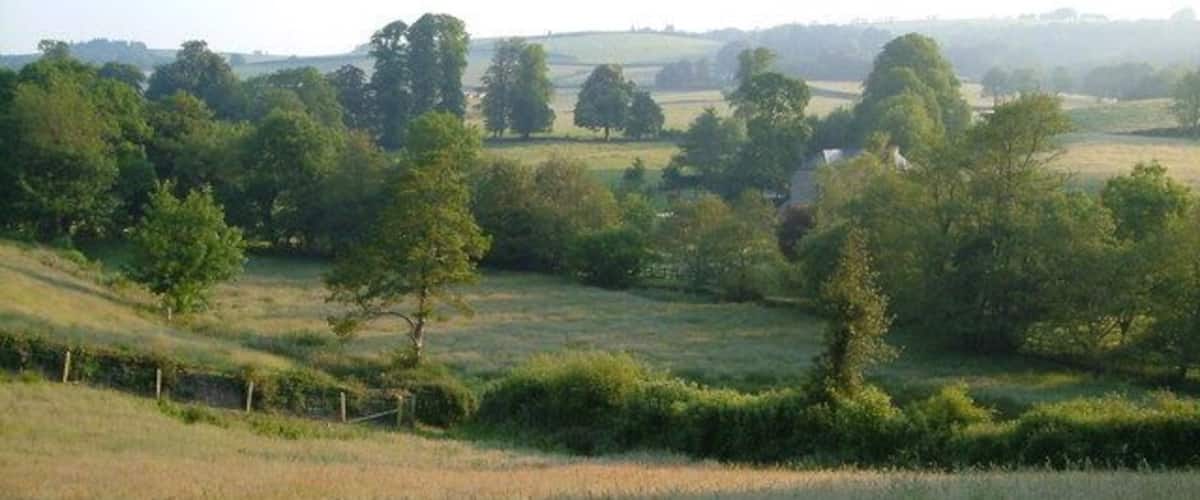 Furlong Mill. Looking across the White Water valley as it approaches the Teign near Sandypark; the mill is on the other side of the stream.
