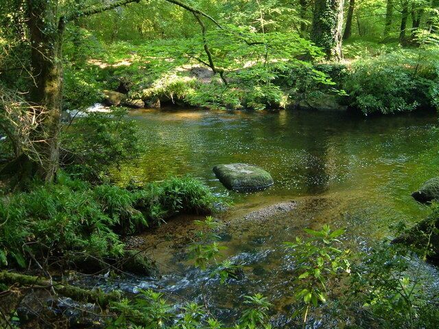 Teign meet. The junction of the North and South Teign rivers should be called "Teign Meet", although, unlike Dartmeet, there is no car park or tea shop. It's a pretty spot by Leigh Bridge on a no through road near Chagford which leads to the Gidleigh Park Hotel. Of the two, the North Teign on the far side is much the bigger river. Downstream is right.