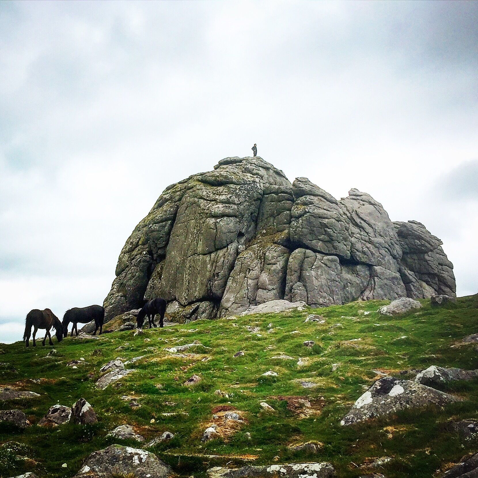 A large rock formation with horses grazing nearby.