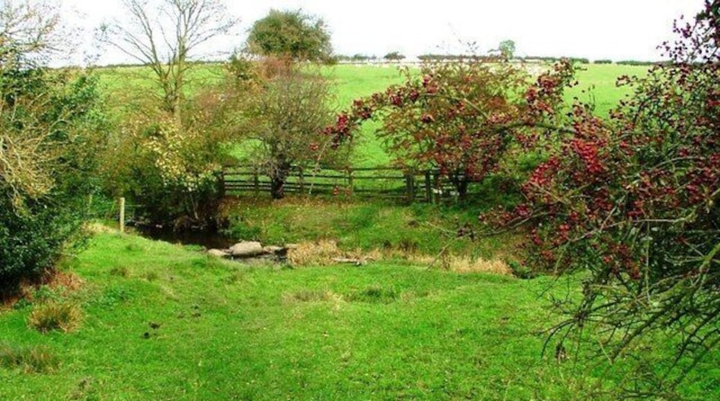 Red House Beck Fording of the Public Bridleway.