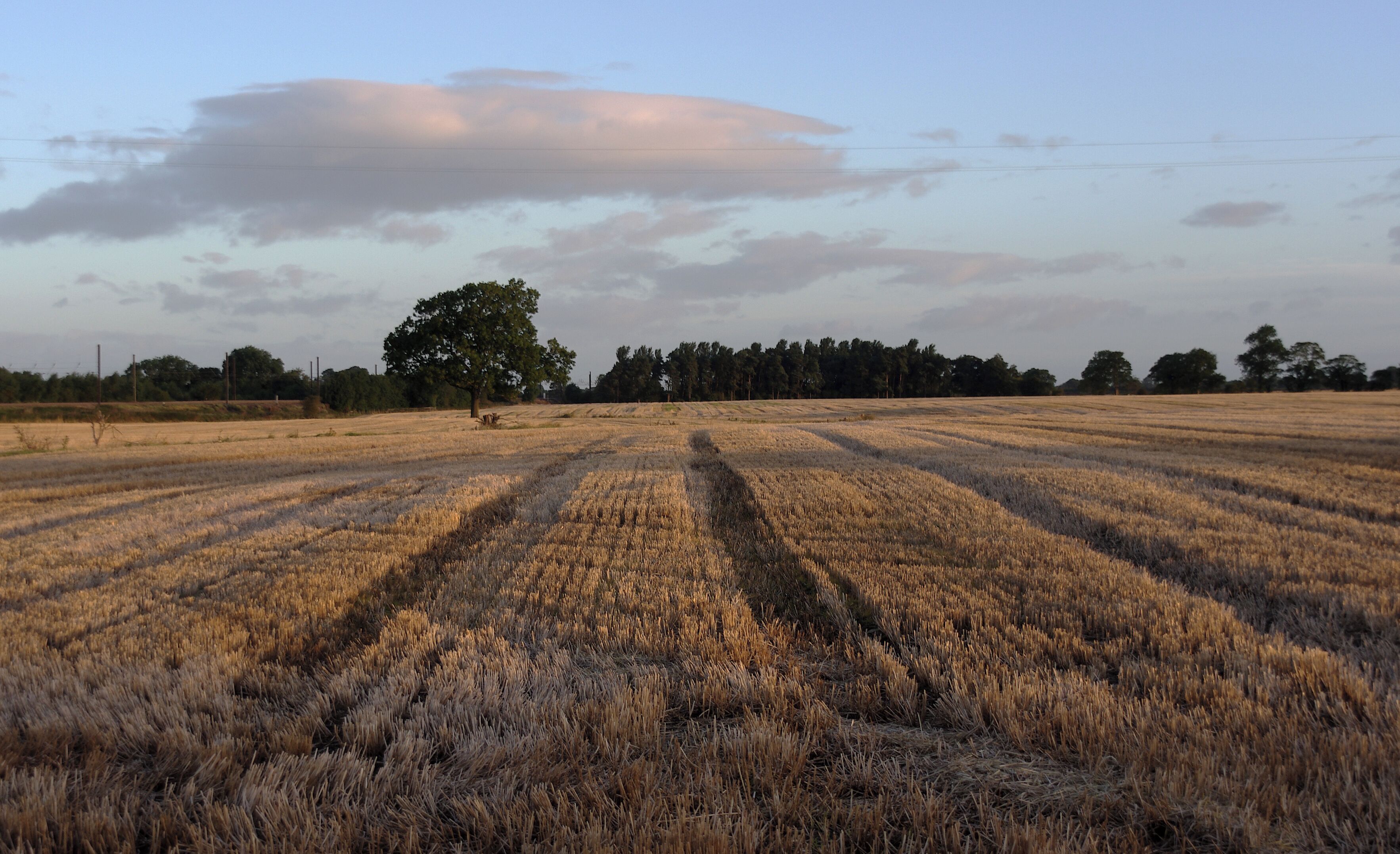 A harvested hay field in South Otterington, Yorkshire.