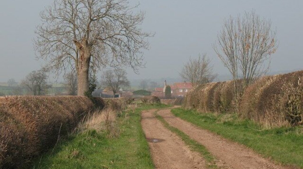 Bestmire Lane & Brockholme Farm A green lane that runs parallel with the A168. Brockholme Farm can be seen in the distance.