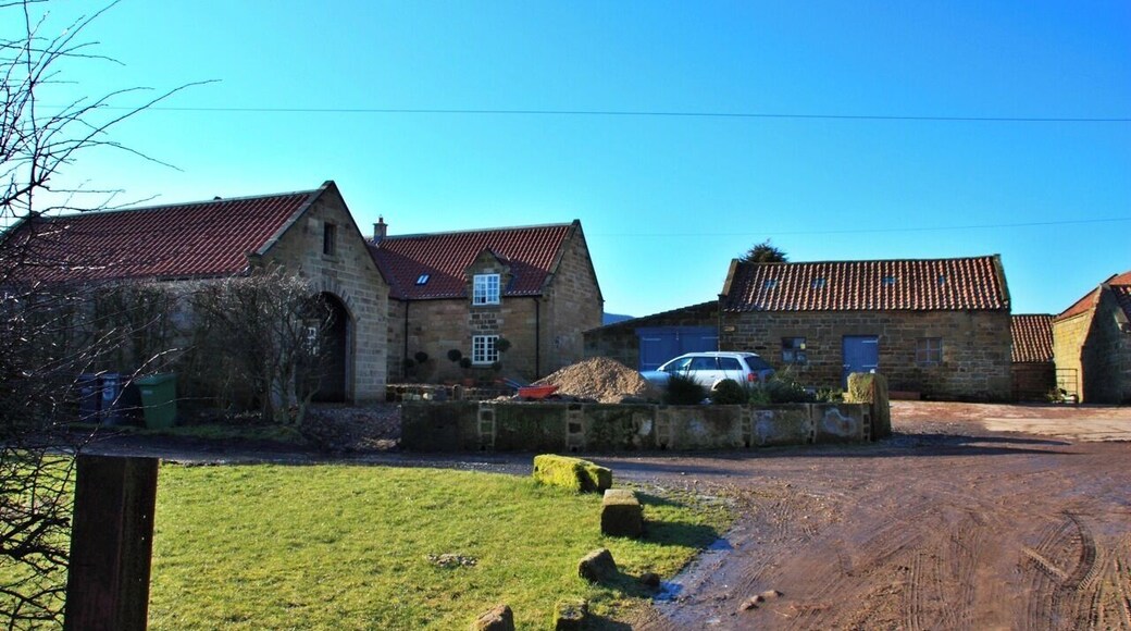 Whorlton House An attractive farmhouse at the top of Whorlton Lane