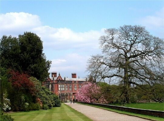 A large stately building with a manicured lawn and a prominent tree in the foreground.
