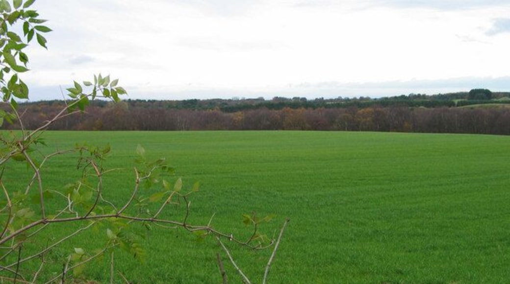 Station Road fields, Delamere Fields and woodland to the East of Station Rd, Delamere.