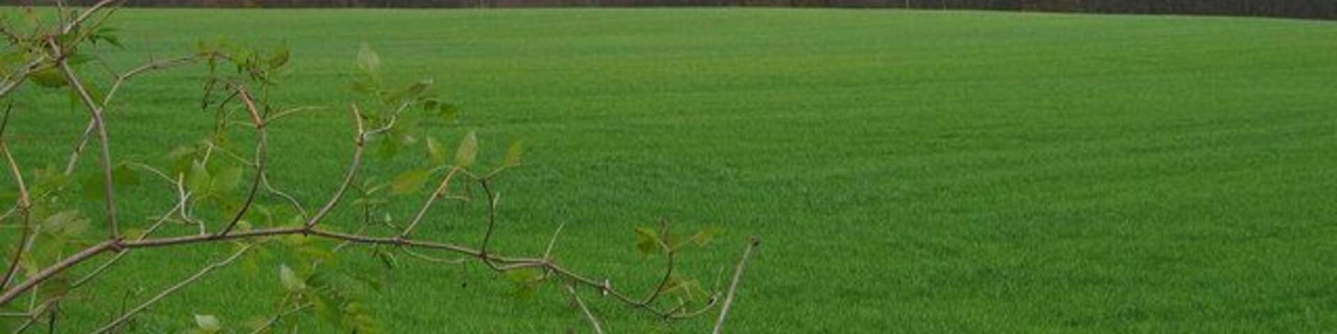 Station Road fields, Delamere Fields and woodland to the East of Station Rd, Delamere.