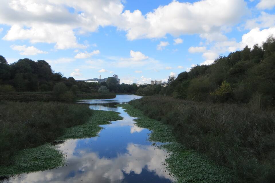 Een rivier met waterlelies, omringd door weelderige begroeiing en bomen, onder een lichtbewolkte lucht.