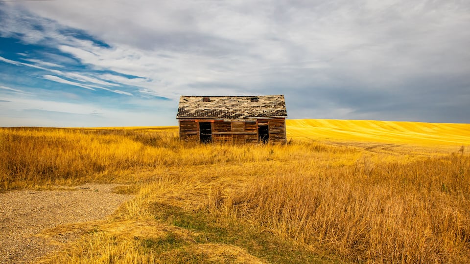 All that is left of an old house in the farmers feild. Three Hills, Alberta, Canada