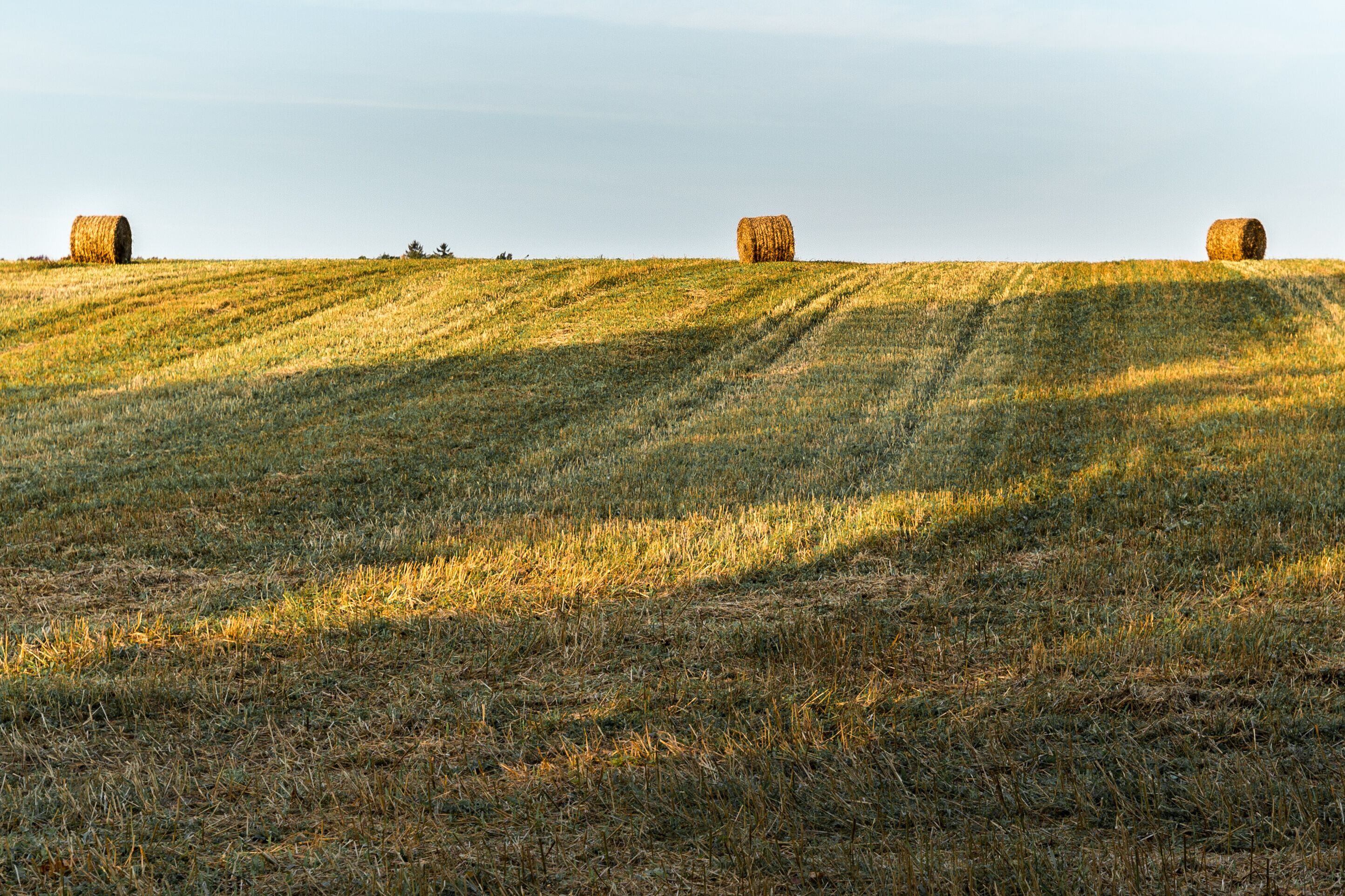 Three bales of hay on a hill in a farm field