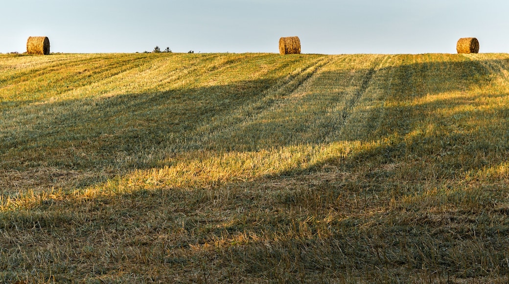 Three bales of hay on a hill in a farm field