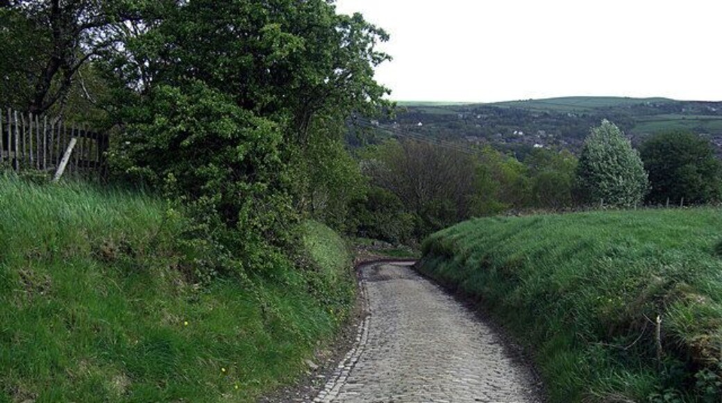 Small Brook Road The start of the cobbled descent to Woodend from the top of Dunwood Park.