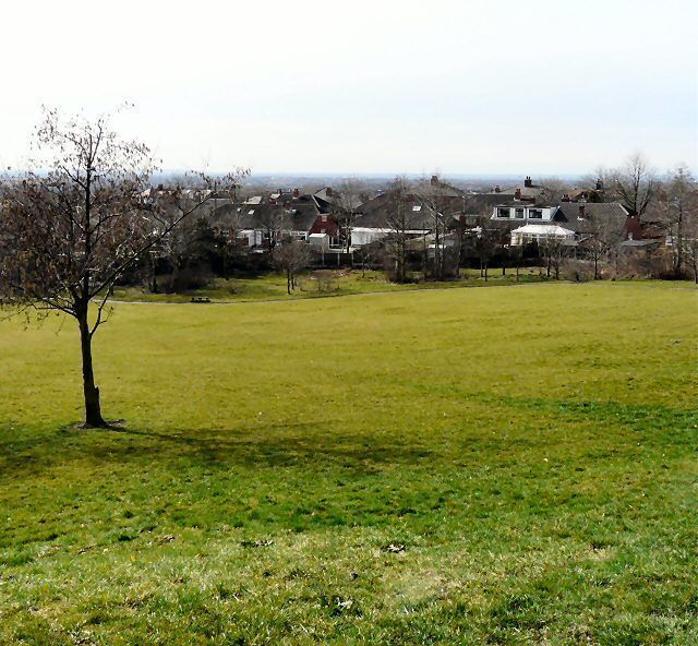 Copster Park Looking towards Hollins Green.