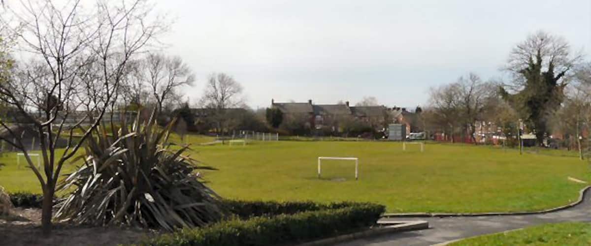 A grassy field with a soccer goal, a curved path, and leafless trees.