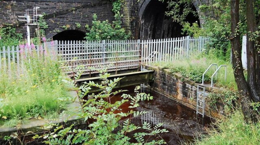 The 1894 Standedge 'live' tunnel