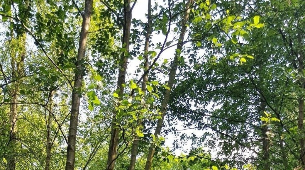 #LifeAtExpedia
Day with the ducks