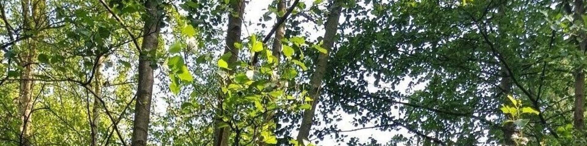 #LifeAtExpedia
Day with the ducks