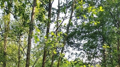 #LifeAtExpedia
Day with the ducks