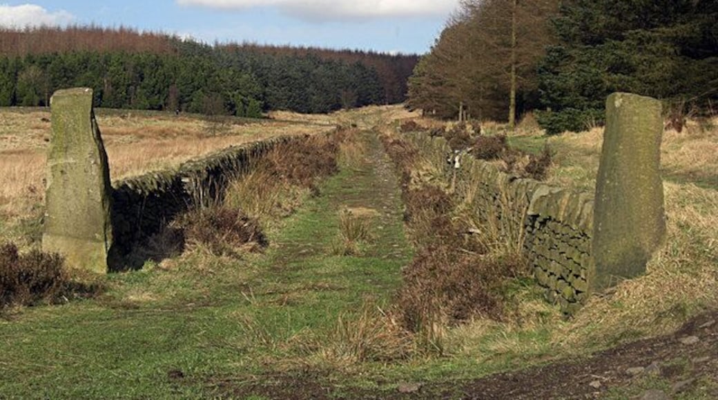 Crompton Moor This walled track is on the lower slopes of the moor above Brushes Clough quarry. There are many tracks on this large area of open space on the edge of Shaw's urban area. It is a very popular amenity for off road cyclists, dog walkers and other lovers of the countryside.