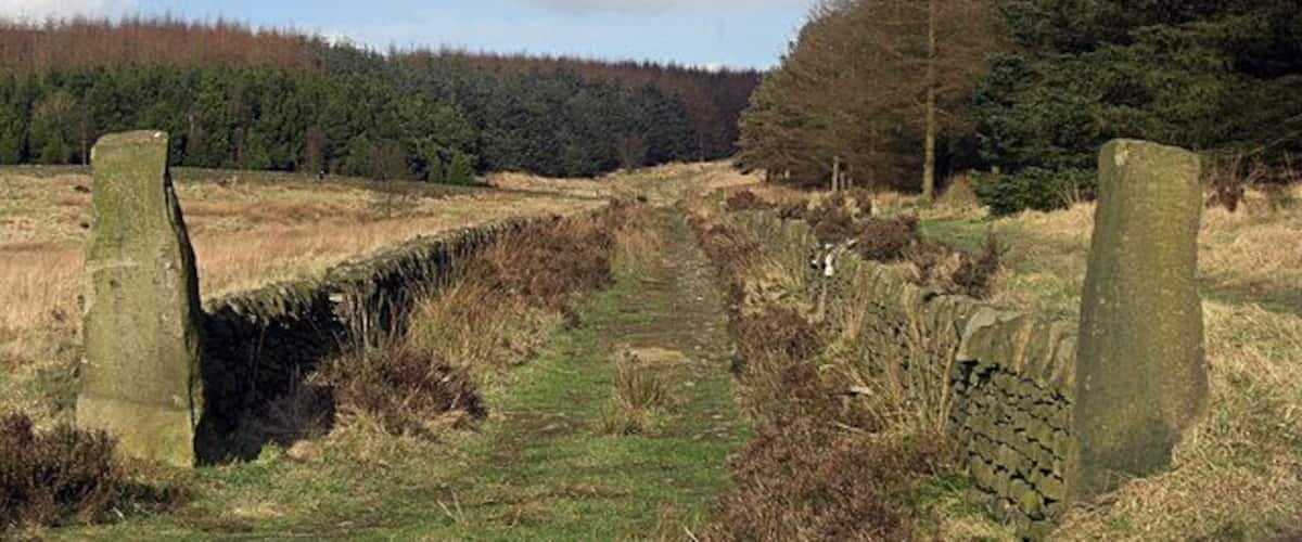 A stone bridge over a narrow water channel, surrounded by grassy fields and trees.