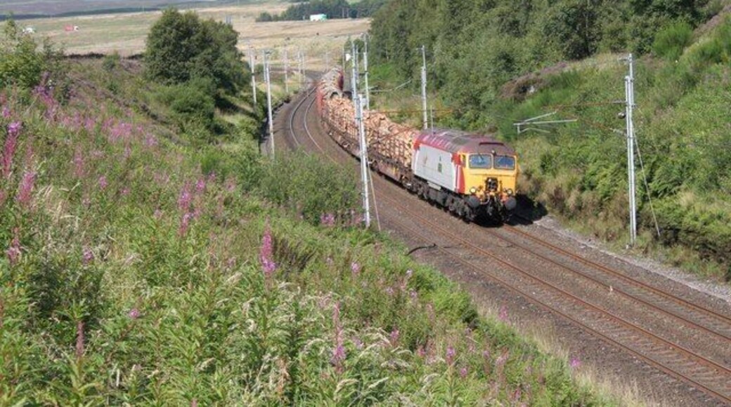 Southbound timber train at Greenholme