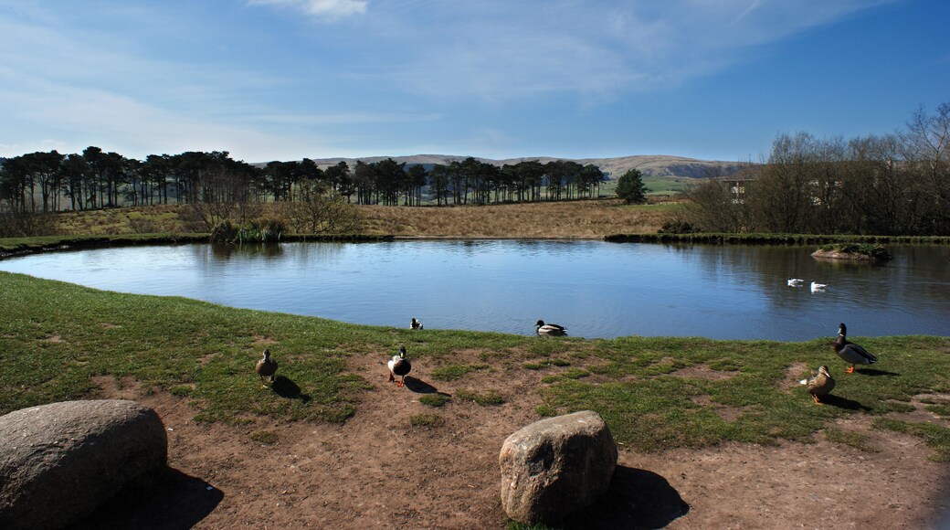 At Tebay services (northbound)