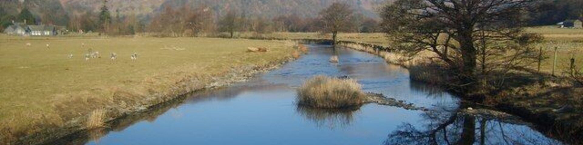 Goldrill Beck From the bridge to Side Farm and Rooking. The name Goldrill first documented in 1780. Means 'The stream where marigolds grow' relating to the kingcup or marsh marigold. None in evidence today in this cold early spring.Sheffield Pike and Glenridding Dodd in shot.