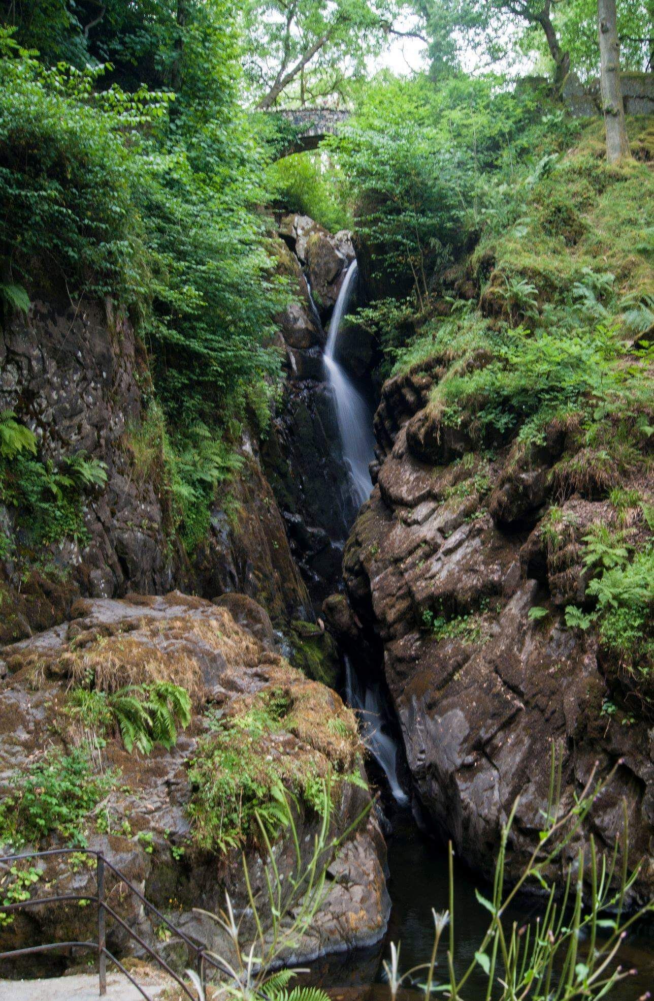 Aira Force