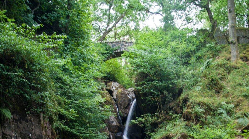 Aira Force