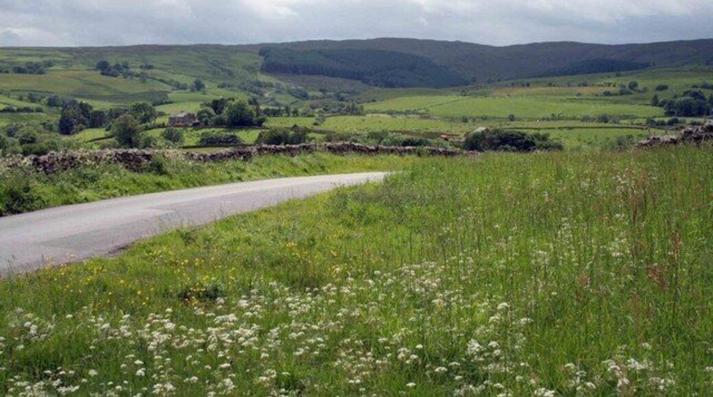 the road to Greenholme After a shower its very clear today looking down the valley towards Greenholme.