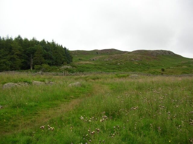 Gowbarrow Fell Close to Dockray stands Gowbarrow fell above the shores of Ullswater.