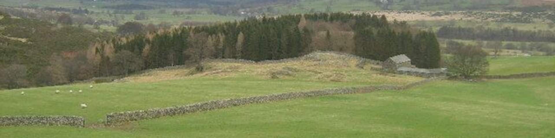 Ireland Wood Looking northeast.
