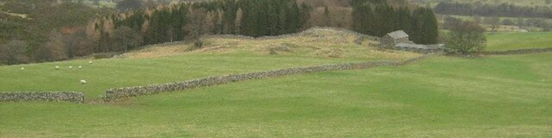 Ireland Wood Looking northeast.