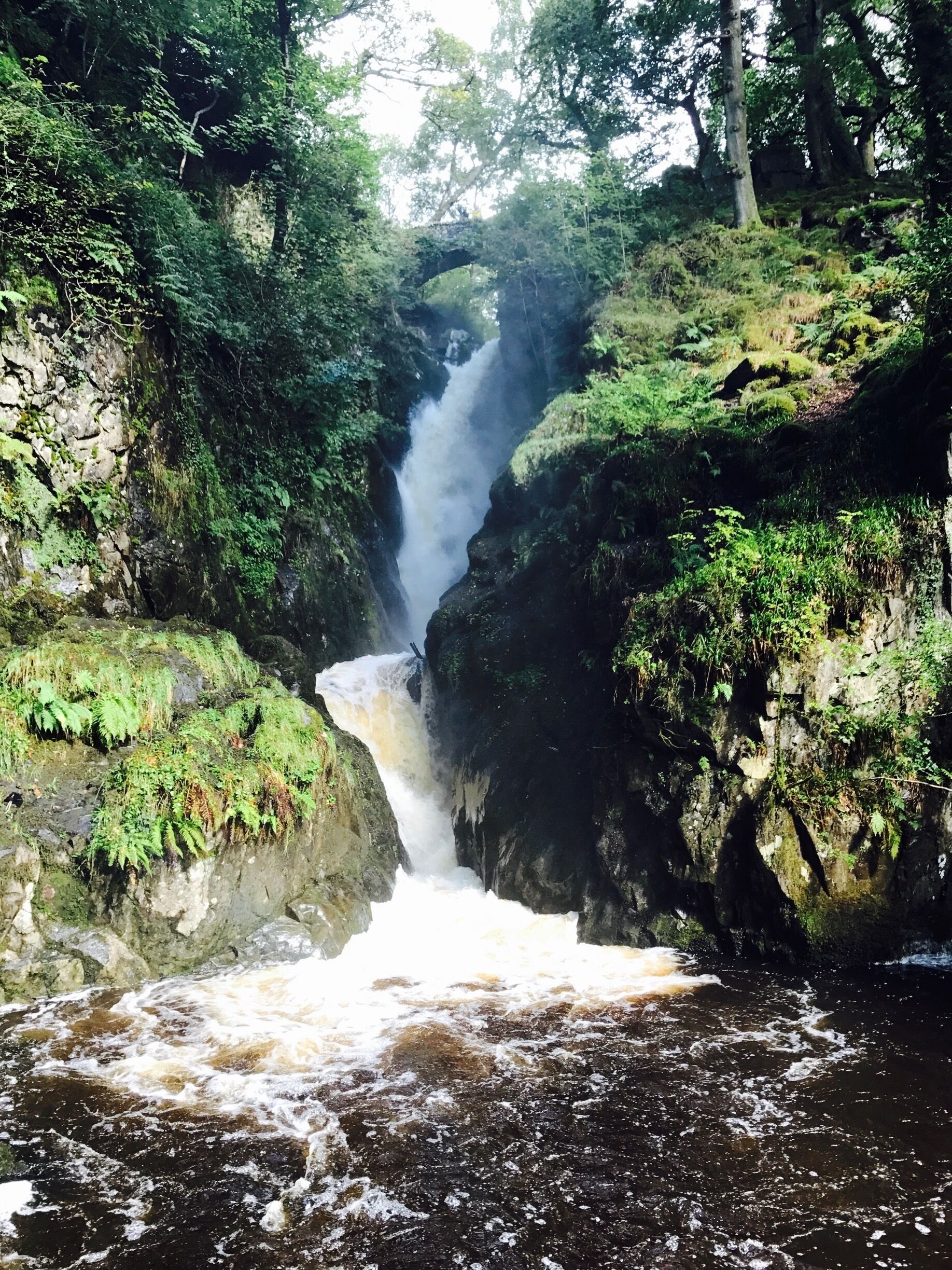 Aira Force