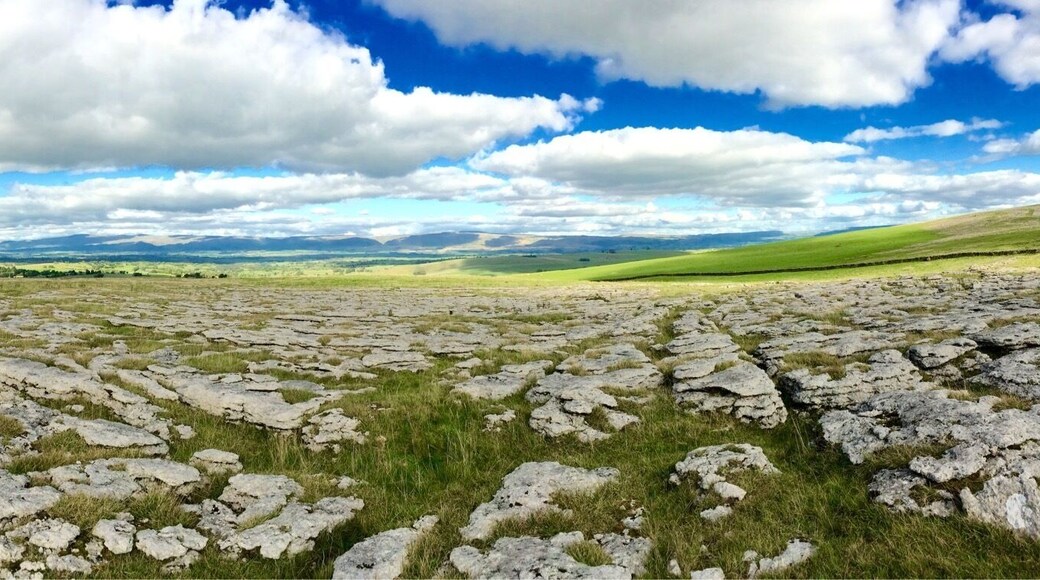 At the Shining Stones.
