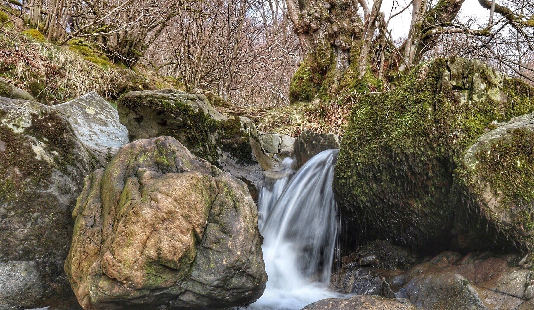 Aira Force