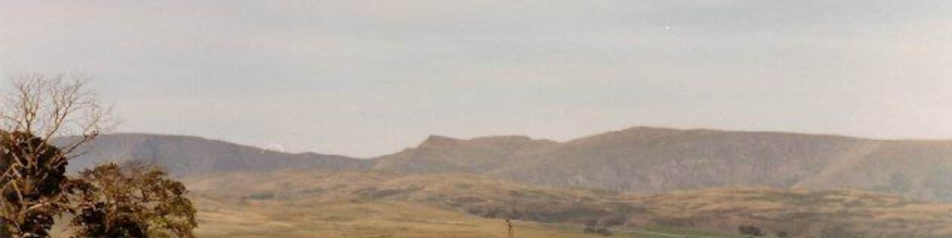Paisagem rural com colinas ondulantes, uma árvore solitária e céu claro.