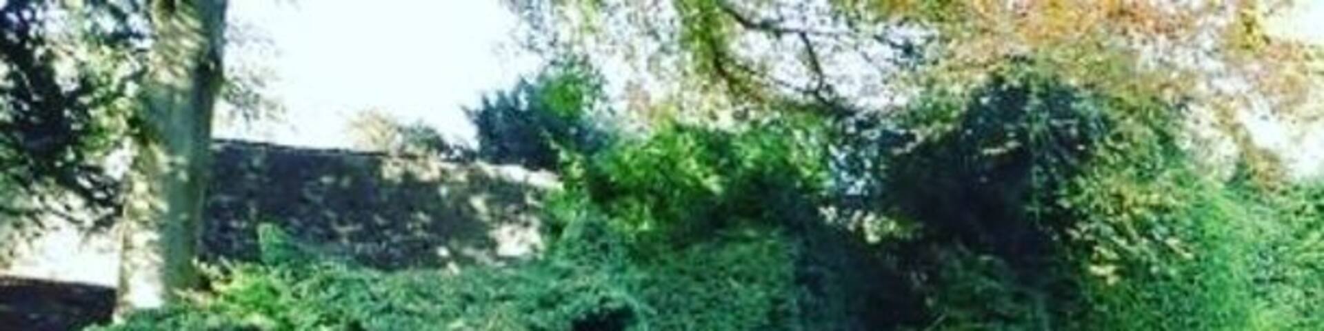 A surprising Topiary Dragon in the gardens of Dalemain, a handsome Country House in the Eden valley near Penrith. Also look out for the herd of fallow deer in the deer park and try the marmalade in the gift shop. Dalemain holds an annual marmalade fest every March.