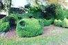 A surprising Topiary Dragon in the gardens of Dalemain, a handsome Country House in the Eden valley near Penrith. Also look out for the herd of fallow deer in the deer park and try the marmalade in the gift shop. Dalemain holds an annual marmalade fest every March.