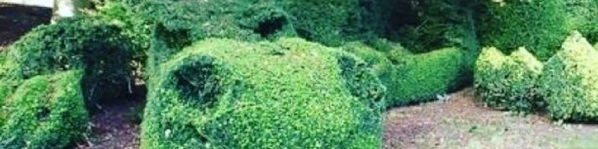 A surprising Topiary Dragon in the gardens of Dalemain, a handsome Country House in the Eden valley near Penrith. Also look out for the herd of fallow deer in the deer park and try the marmalade in the gift shop. Dalemain holds an annual marmalade fest every March.