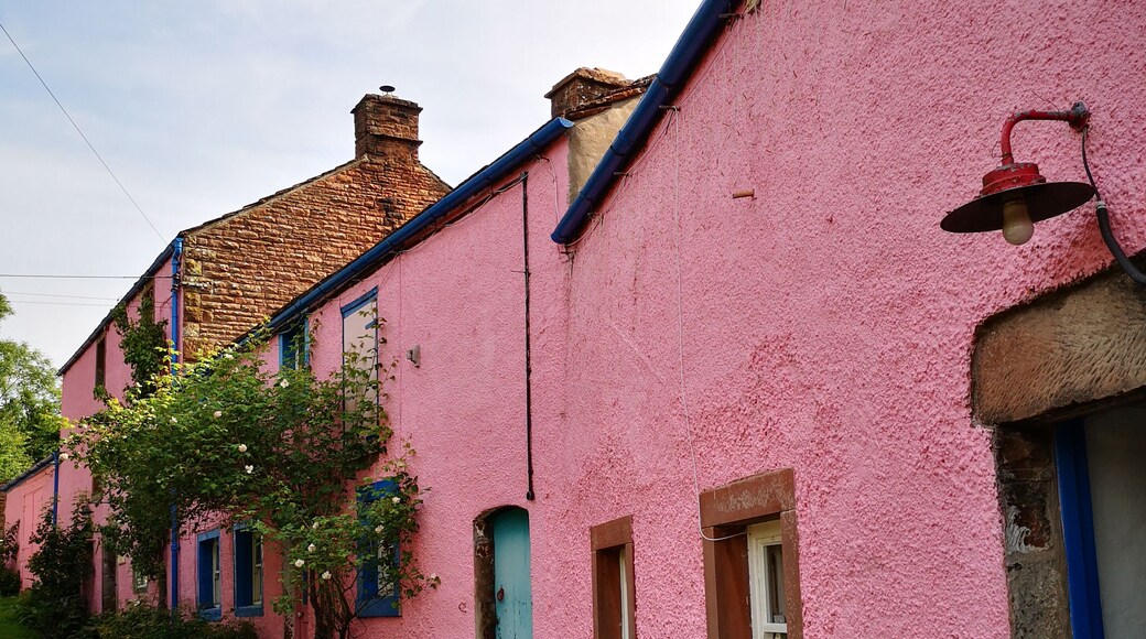 An 18th century working flour mill with tours and a shop & tearoom. Tasty veggie food & home baked bread. And it's pink!