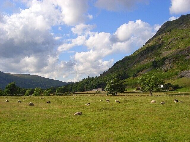 Pasture, Patterdale Fields beside Goldrill Beck. Place Fell rises steeply to the right.