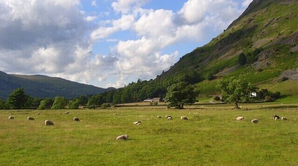 Pasture, Patterdale Fields beside Goldrill Beck. Place Fell rises steeply to the right.