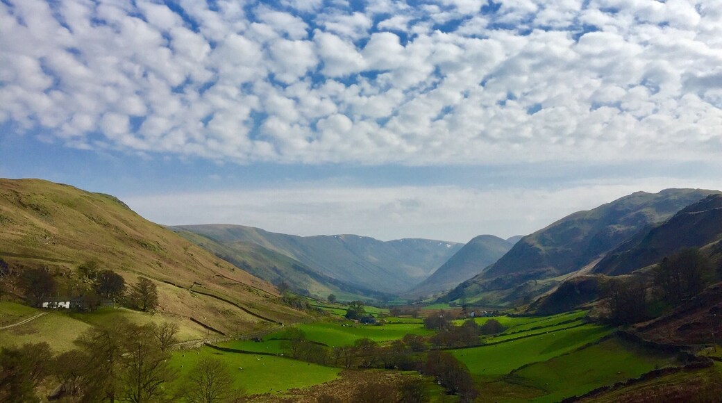 A quiet corner of the Lakes
